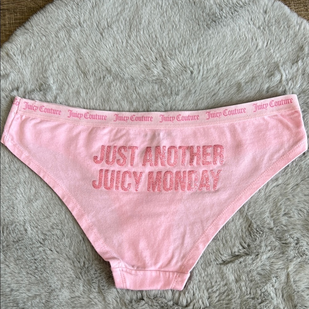 Juicy Couture Just Another Juicy Monday Brief Panty M